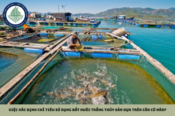 Việc xác định chỉ tiêu sử dụng đất nuôi trồng thủy sản dựa trên căn cứ nào?